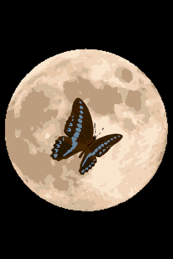 black butterfly cover