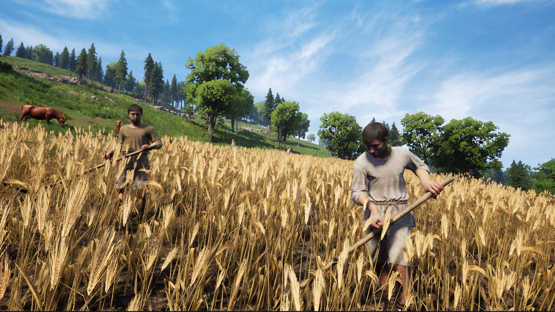 ss_048f8dc173e6f2f119d9470c7b298ccde169a