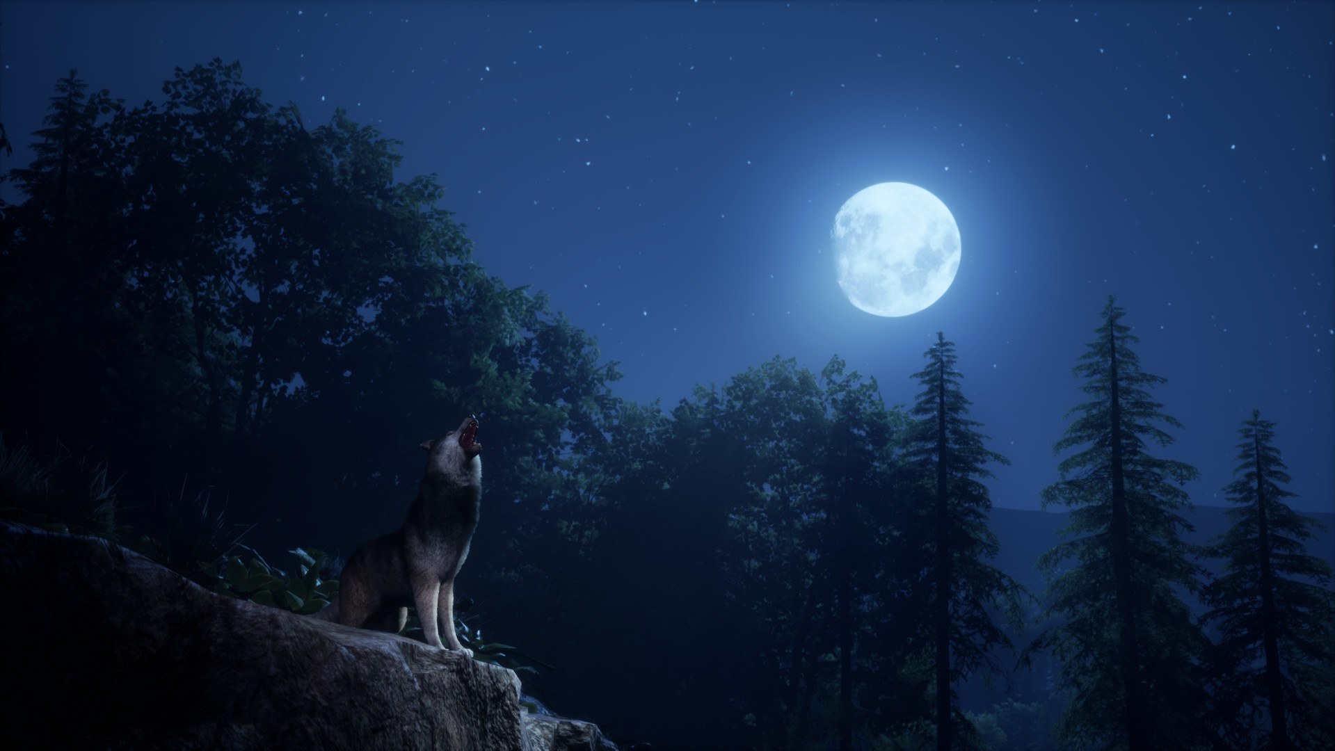 ss_08586cbc172d69fa021b9ef20658c7a7505c7