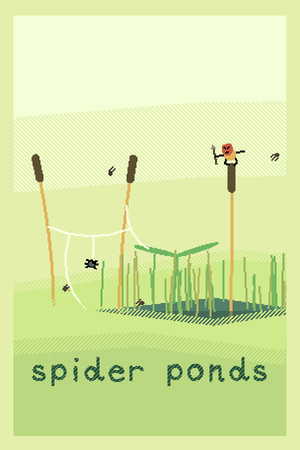 spider ponds spider ponds