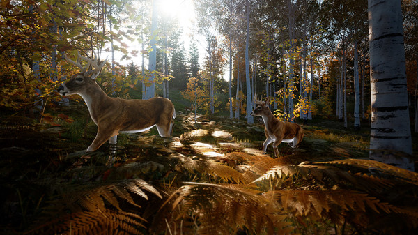 Скриншот из Hunting Simulator 2