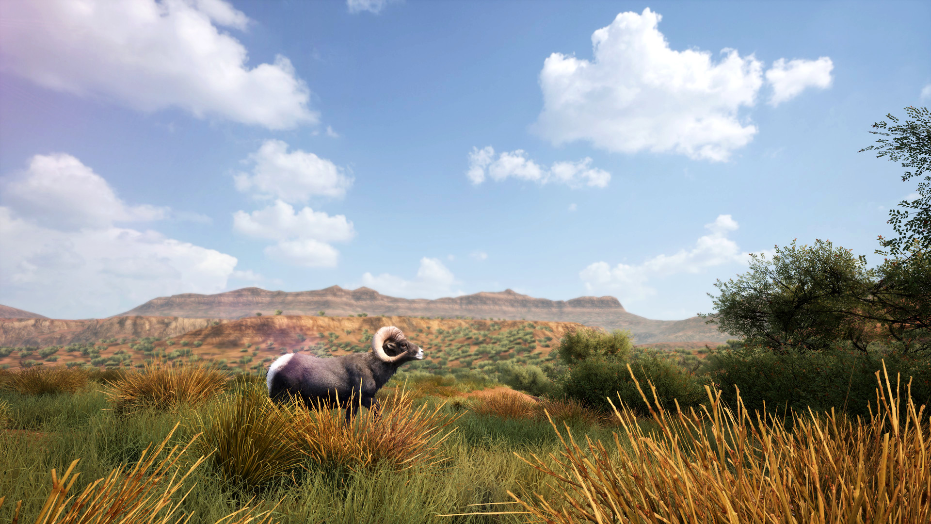 模拟狩猎2/Hunting Simulator 2(v1.0.0.311.66949整合护林员生活DLC)