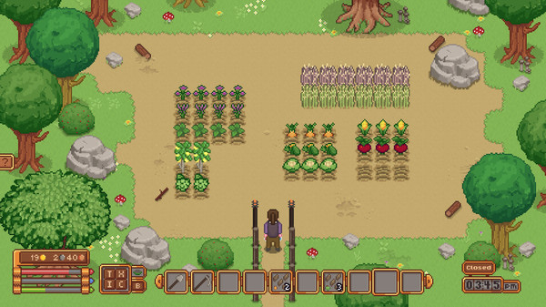 Travellers Restfor windows and Linux 1