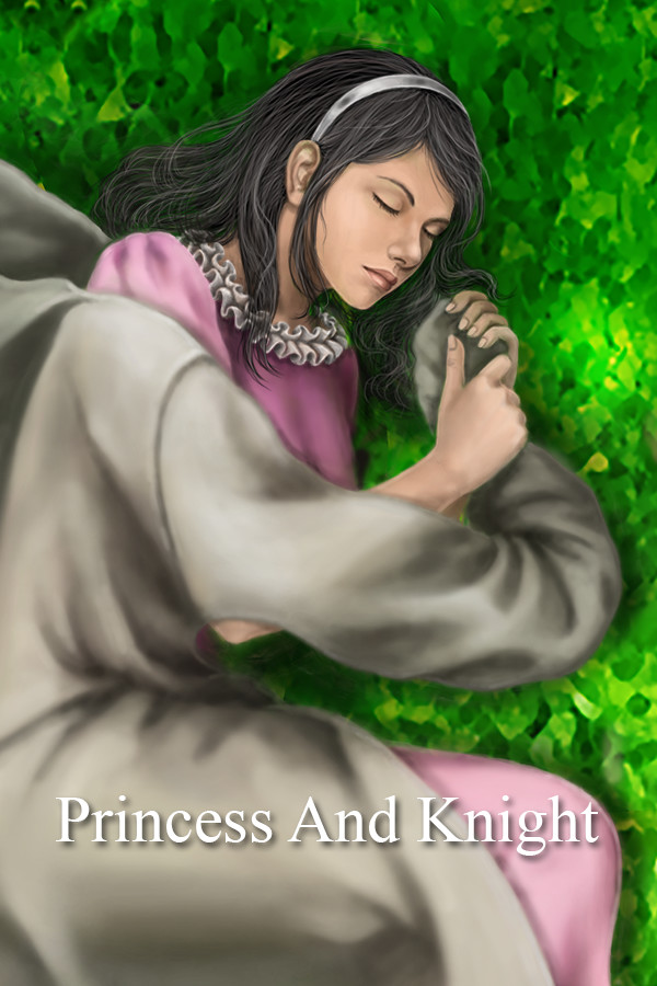 Princess and Knight for steam Princess and Knight for steam