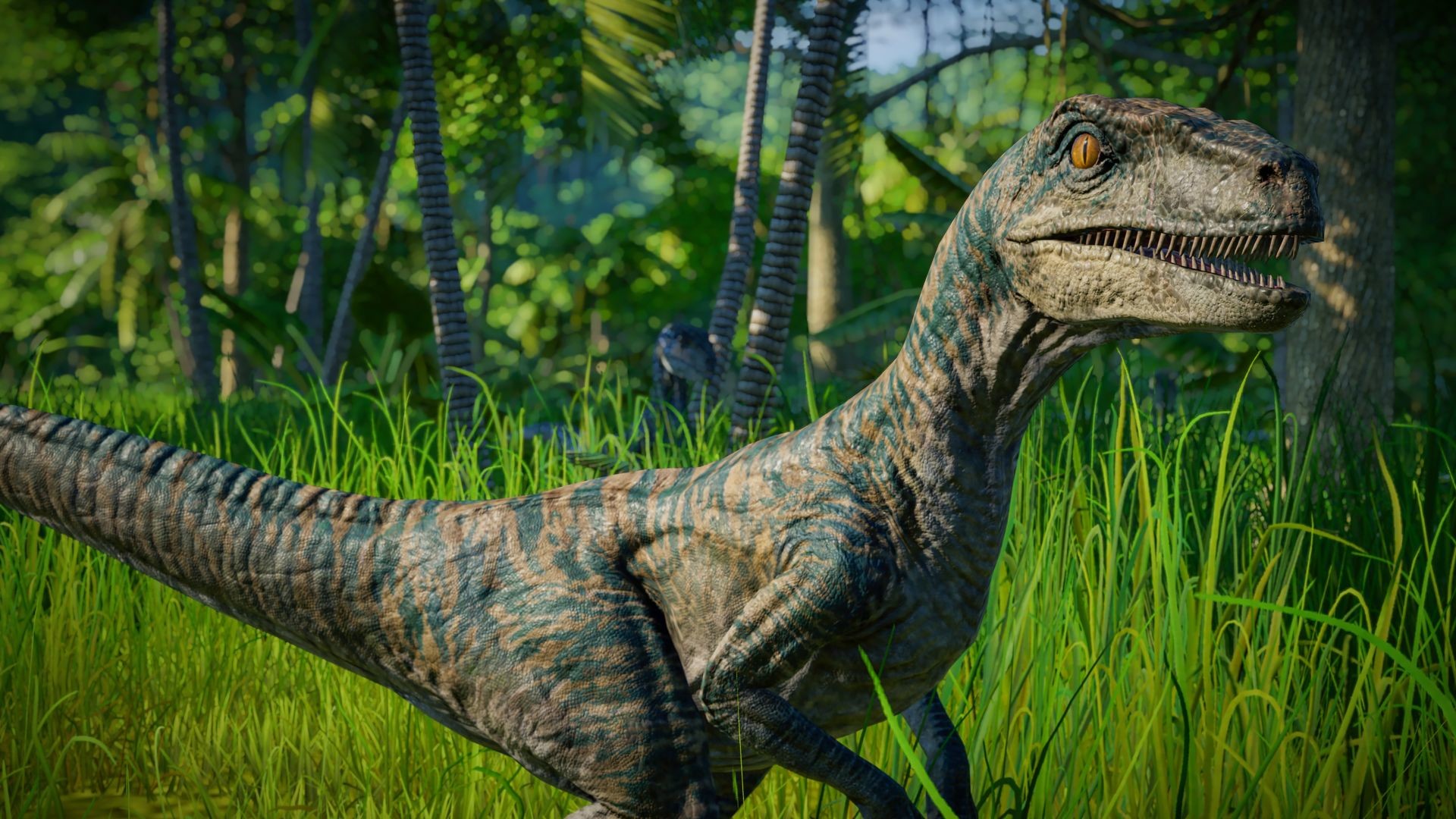 recensioni di soluzioni snelle e velociraptor