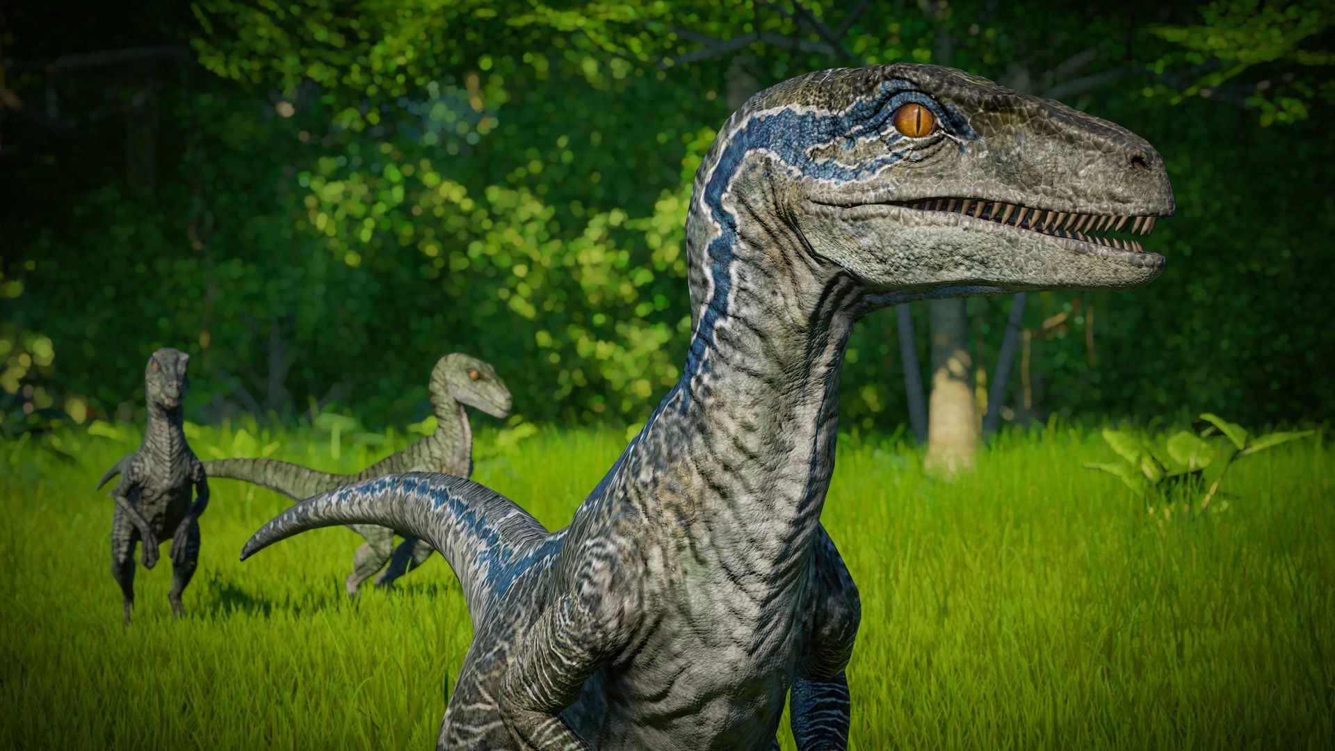 velociraptor jurassic world