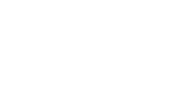 INVISIBLE Logo