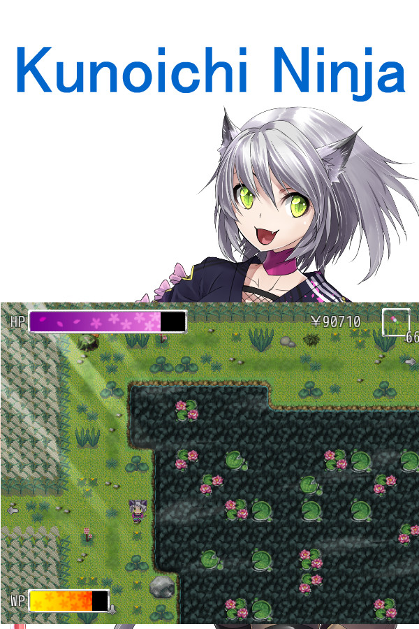 Kunoichi Ninja for steam Kunoichi Ninja for steam