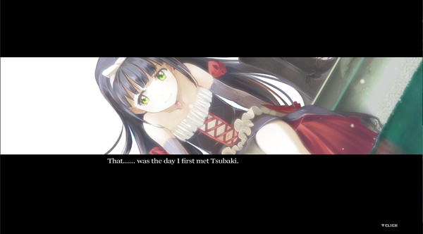 Winter Polarisfor windows and Linux 1