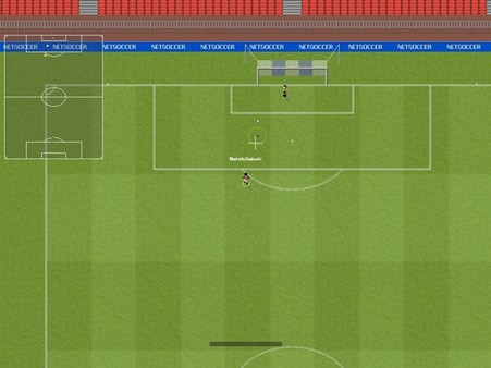 Netsoccerfor windows and Linux 1
