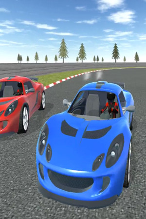 Rally Drift Cars