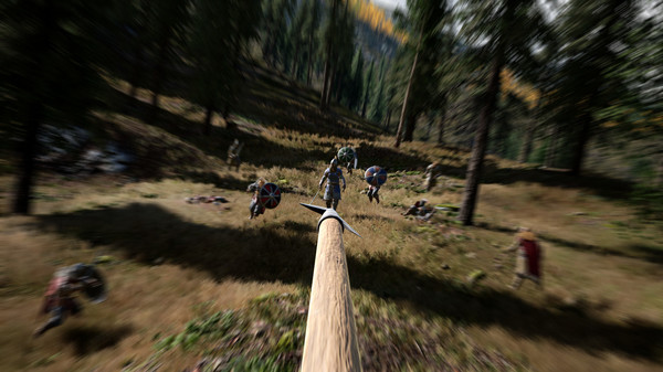 Скриншот из VALHALL Tests