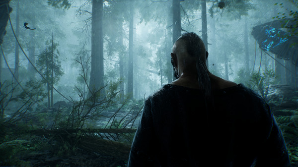 Скриншот из VALHALL Tests