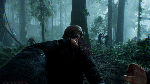 Скриншот из VALHALL Tests