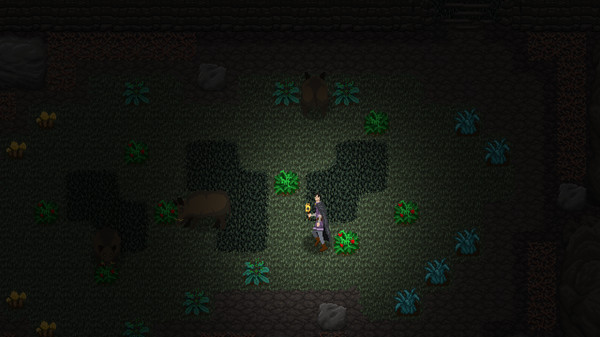 Night Roadfor windows and Linux 1