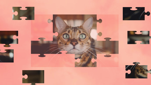скриншот Jigsaw Puzzle Cats 4