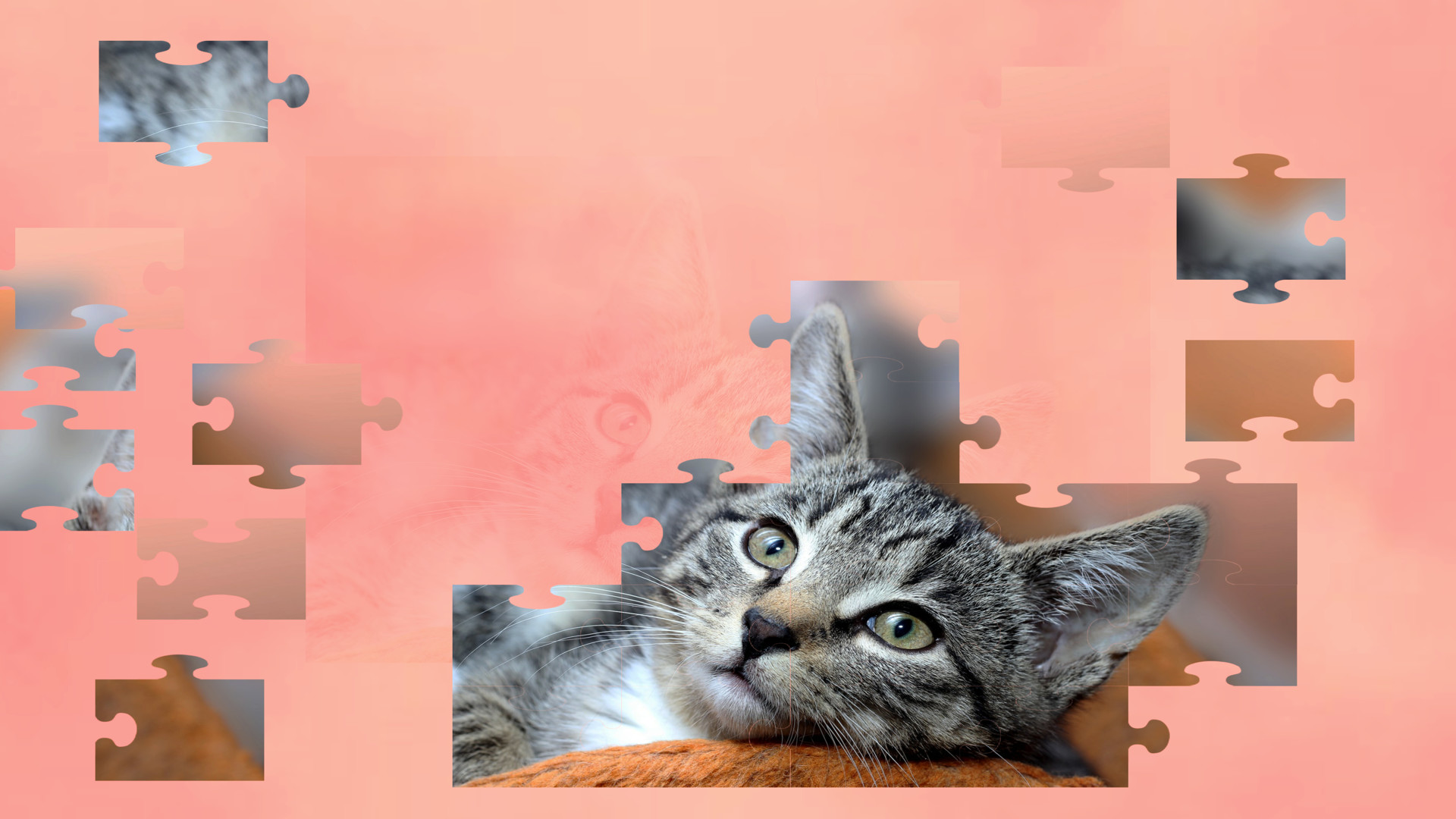 Cat Jigsaw Puzzle Games on Steam