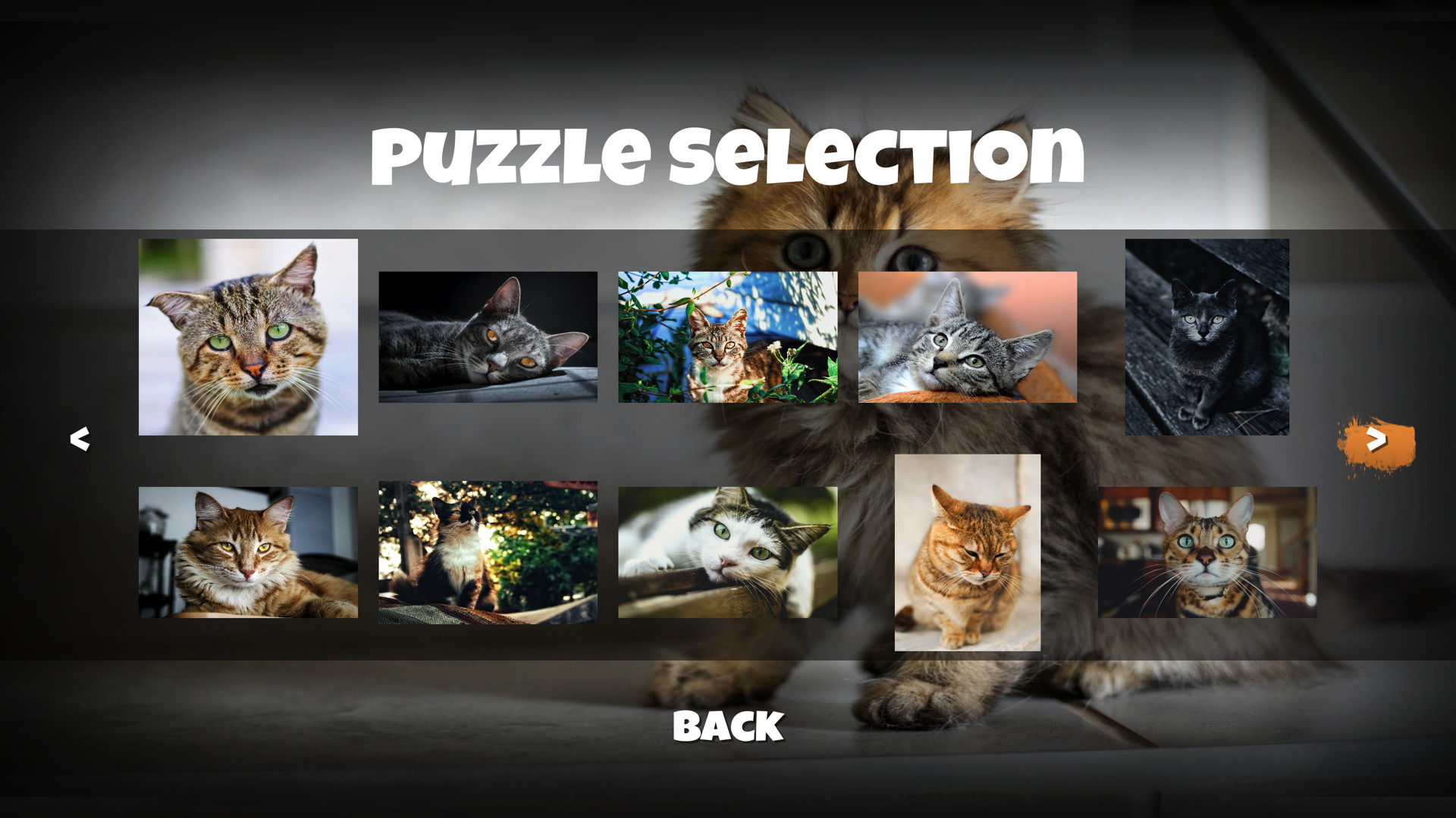 Jigsaw Puzzle Cats The Puzzle Cat Game on Steam