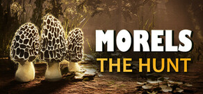 Morels: The Hunt