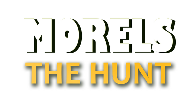 Morels: The Hunt Logo