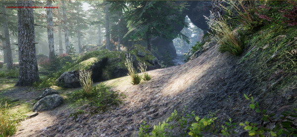 Dissension Survivalfor windows and Linux 1