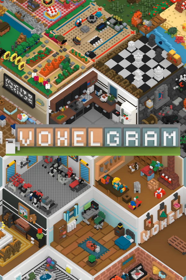 Voxelgram for steam