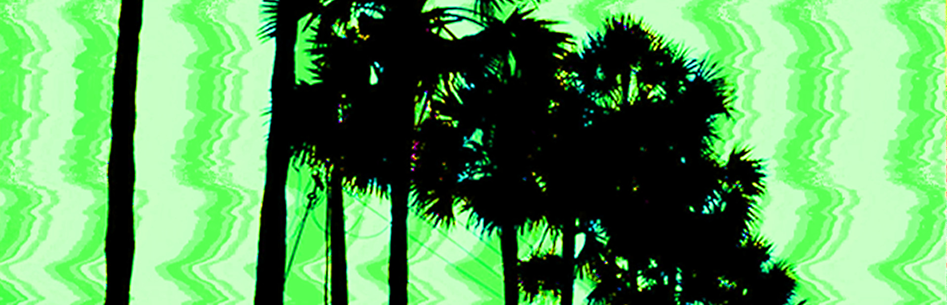 Village Bus Driver Simulator