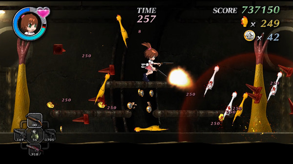 SHOOTING CHICKEN BRUTAL SUCKERSfor windows and Linux 1