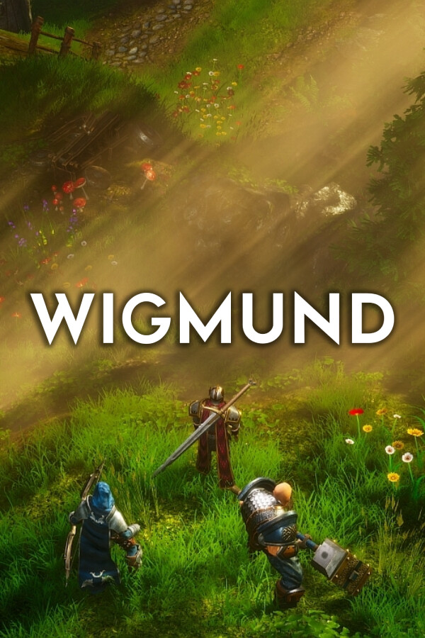 Wigmund for steam