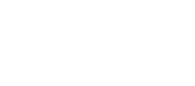 Chameleon Gallery Logo