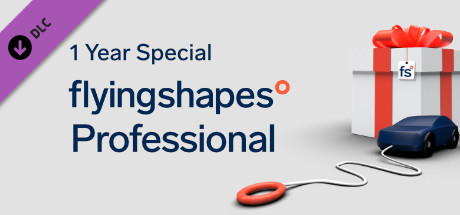 flyingshapes° Professional 1 Year Special cover art