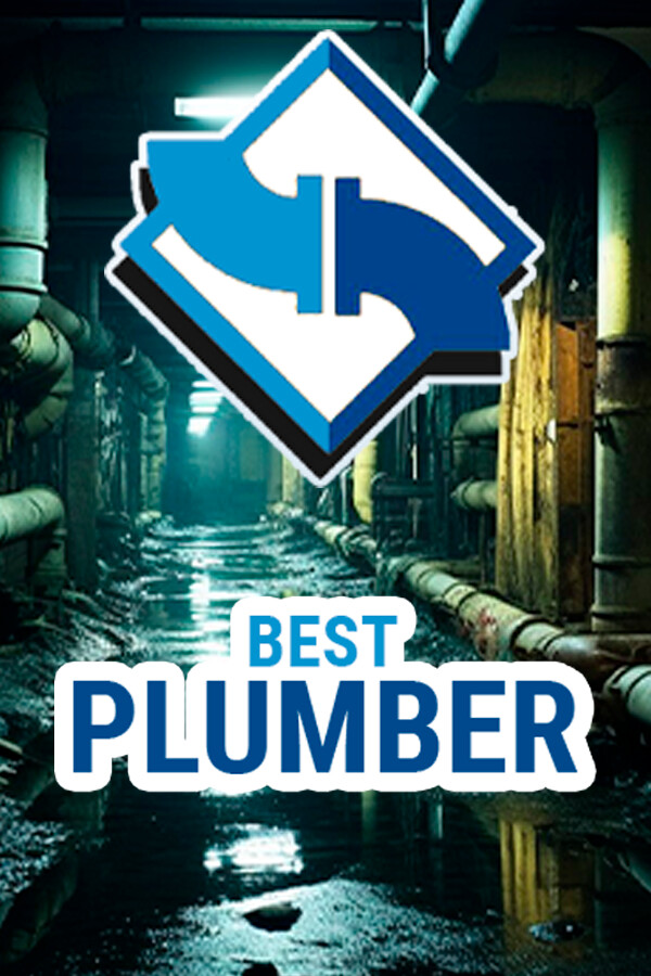 Best Plumber for steam