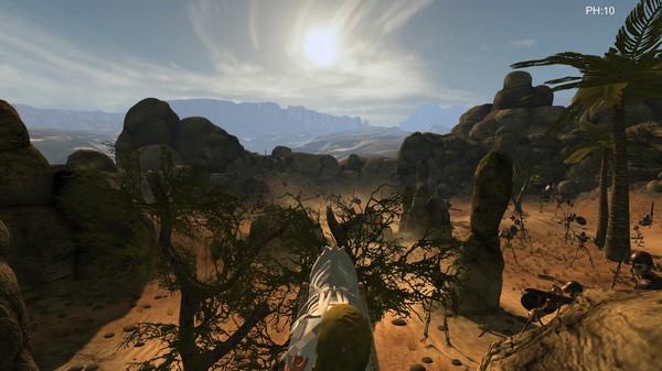 Скриншот из Desert coachman