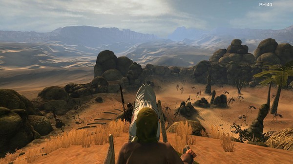 Desert coachman game for Linux 1