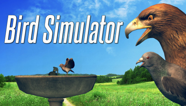 Bird Simulator On Steam