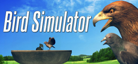 Bird Simulator cover art