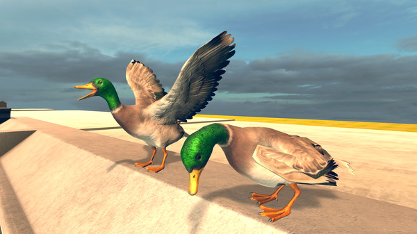 Скриншот из Bird Simulator