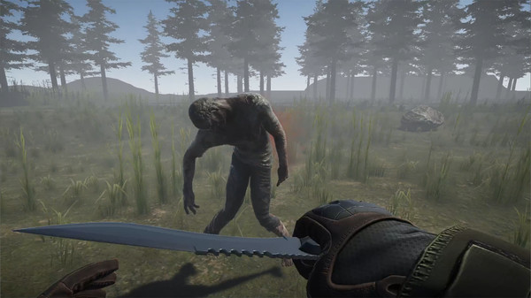 Скриншот из Survived