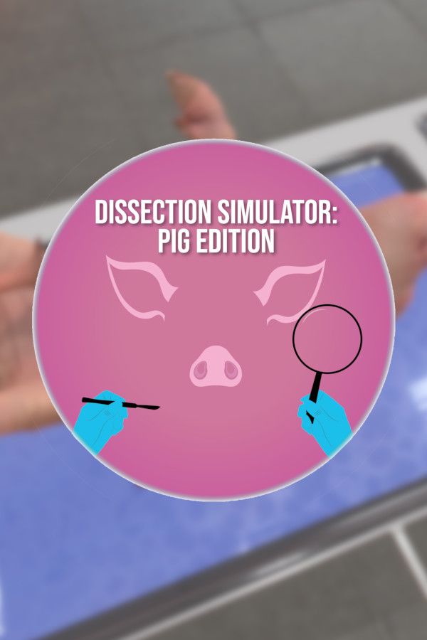 Dissection Simulator: Pig Edition