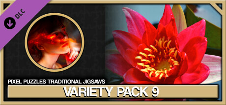 Pixel Puzzles Traditional Jigsaws Pack: Variety Pack 9 cover art