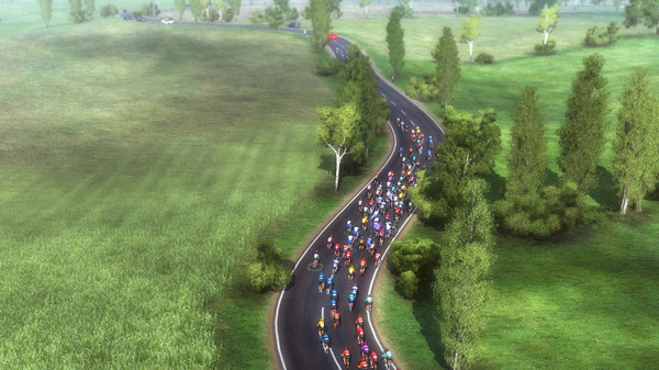 Скриншот из Pro Cycling Manager 2020