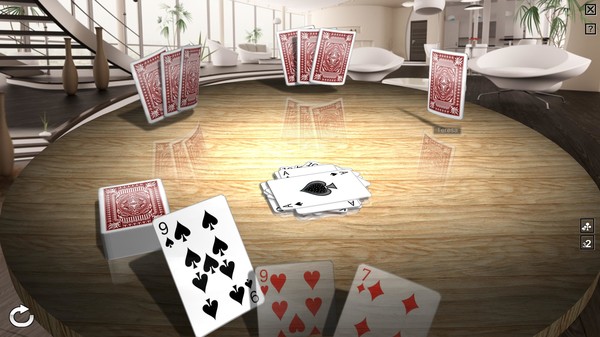 Crazy Eights 3D Premium game for Linux 1