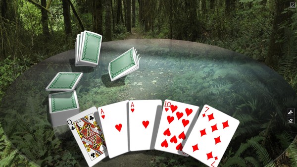 Crazy Eights 3D Premiumfor windows and Linux 1