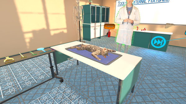Скриншот из Dissection Simulator: Feline Edition