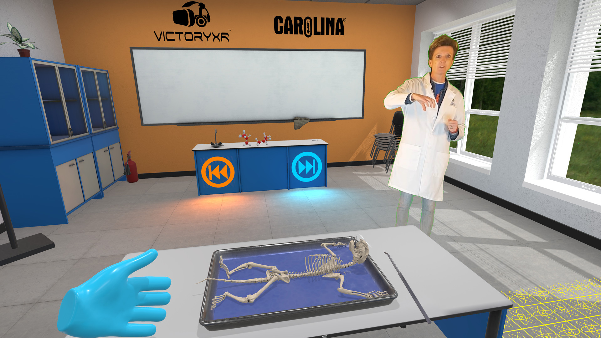 Oculus Quest游戏《Dissection Simulator – Cat Edition》解剖猫科动物