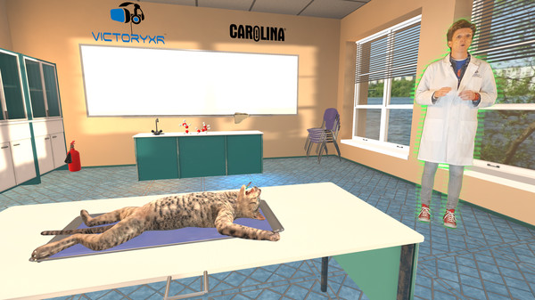 Скриншот из Dissection Simulator: Feline Edition