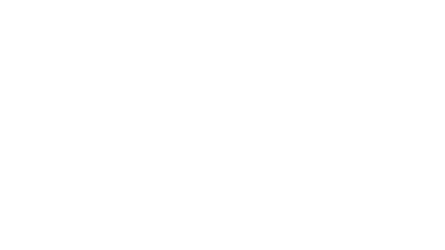 Mannerheim Virtual Experience Logo