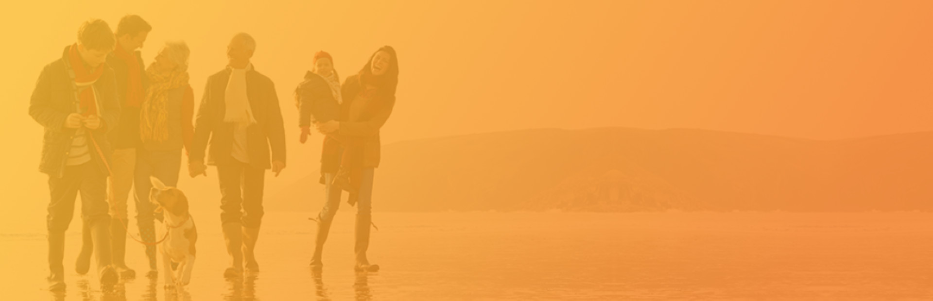 Quicken WillMaker & Trust 2020