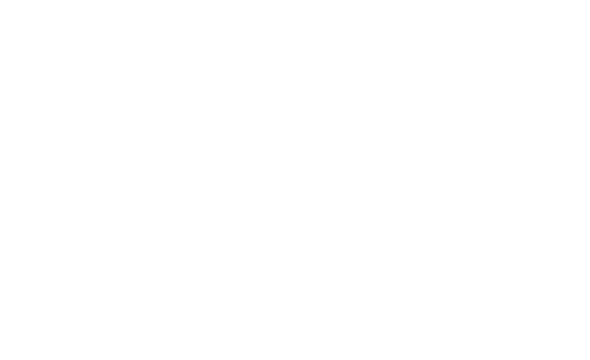 Laser Z Logo