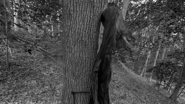 Wardwell Housefor windows and Linux 1